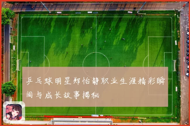 乒乓球明星郑怡静职业生涯精彩瞬间与成长故事揭秘