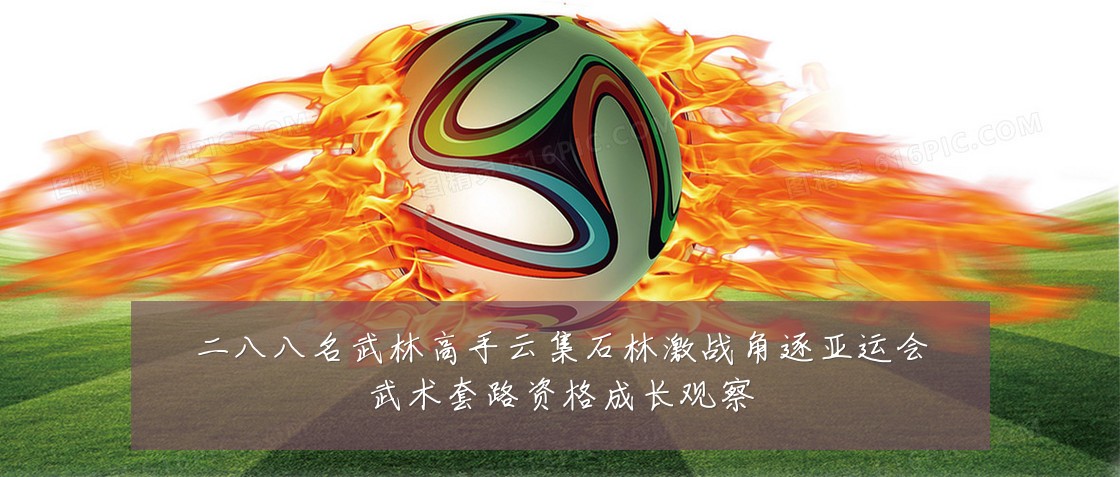 二八八名武林高手云集石林激战角逐亚运会武术套路资格成长观察