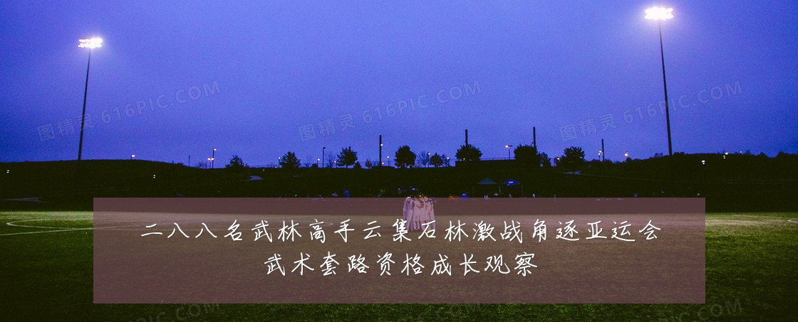 二八八名武林高手云集石林激战角逐亚运会武术套路资格成长观察